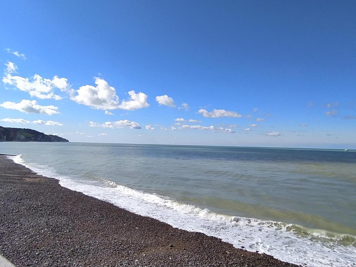 Jolie Maison En Bord De Mer A Pourville Hautot-sur-Mer Dış mekan fotoğraf